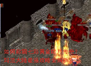 ��γư��߲ʻƽ���´��棿�귨��½��ǿ����ȫ������