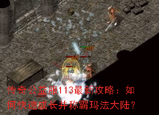 ���湫���113���¹��ԣ���ο��ٳɳ����ư��귨��½��