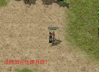 ��ʦ��ο���������