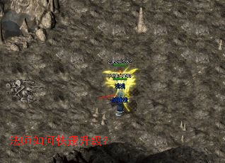 ��ʦ��ο���������