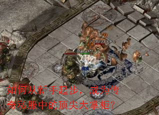 如何从新手起步,成为传奇私服中的顶尖大掌柜? 如何从新手起步,成为传奇私服中的顶尖大掌柜?