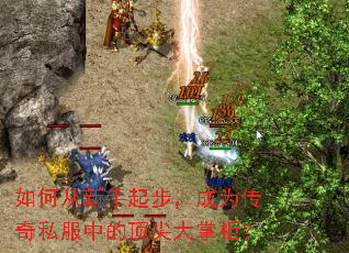 如何从新手起步,成为传奇私服中的顶尖大掌柜? 如何从新手起步,成为传奇私服中的顶尖大掌柜?