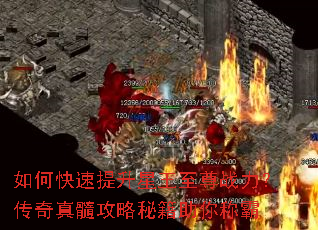 如何快速提升星王至尊战力?传奇真髓攻略秘籍助你称霸 如何快速提升星王至尊战力?传奇真髓攻略秘籍助你称霸