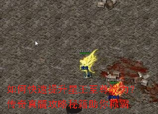 如何快速提升星王至尊战力?传奇真髓攻略秘籍助你称霸 如何快速提升星王至尊战力?传奇真髓攻略秘籍助你称霸