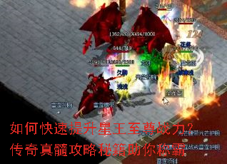 如何快速提升星王至尊战力?传奇真髓攻略秘籍助你称霸 如何快速提升星王至尊战力?传奇真髓攻略秘籍助你称霸