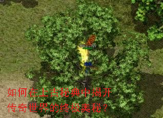 ������Ϲ��ص��нҿ�����������ռ����أ�