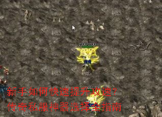 ������ο����������٣�����˽������ѡ��ȫָ��