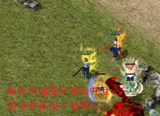 如何快速提升等级并登顶传奇私服王者宝座? 如何快速提升等级并登顶传奇私服王者宝座?