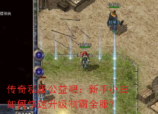 ����˽������ɣ�����С����ο��������ư�ȫ����