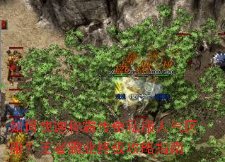 ��ο��ٳưԴ���˽���������������߰�ҵ�ռ�����ָ��