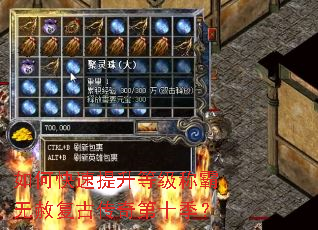 ��ο��������ȼ��ư����⸴�Ŵ����ʮ����