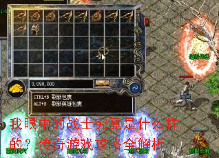 �����е�սʿ������ʲô���ģ�������Ϸ����ȫ����