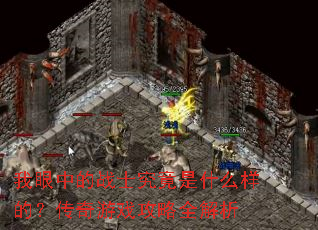 �����е�սʿ������ʲô���ģ�������Ϸ����ȫ����