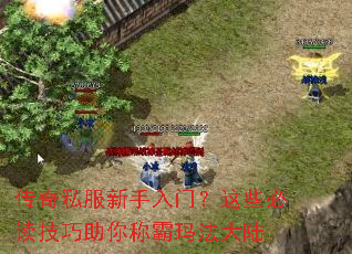 传奇私服新手入门?这些必读技巧助你称霸玛法大陆 传奇私服新手入门?这些必读技巧助你称霸玛法大陆