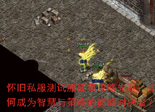 怀旧私服测试服征集攻略先驱:如何成为智慧与策略的巅峰对决者? 怀旧私服测试服征集攻略先驱:如何成为智慧与策略的巅峰对决者?