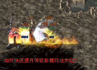 如何快速提升等级称霸玛珐大陆? 如何快速提升等级称霸玛珐大陆?