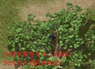 ����ưԲ��µ����ɾ�2006�������㾭�书ѫ��