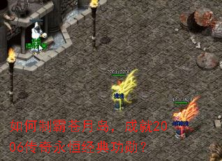 ����ưԲ��µ����ɾ�2006�������㾭�书ѫ��