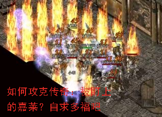 ��ι��˴��棺�����ϵļ���������ร��