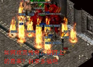 ��ι��˴��棺�����ϵļ���������ร��