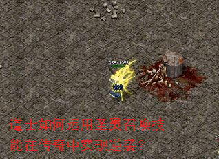 ��ʿ�������ʥ���ٻ������ڴ�����ʵ����Ϯ��