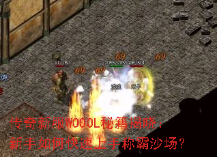 �����·�WOOOL�ؼ�������������ο������ֳư�ɳ����