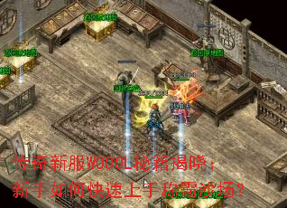 �����·�WOOOL�ؼ�������������ο������ֳư�ɳ����