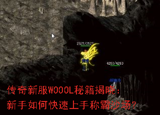 �����·�WOOOL�ؼ�������������ο������ֳư�ɳ����