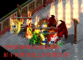 �����·�WOOOL�ؼ�������������ο������ֳư�ɳ����