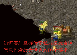 ���ʵʱ���մ���˽��Ȩ��������Ϣ����ս�����繥��ȫ����