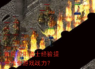 ������õ�ʿ��������������Ϸս����