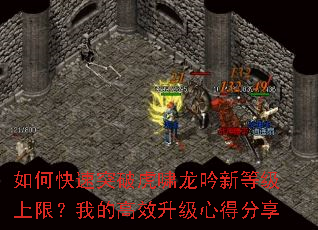 ��ο���ͻ�ƻ�Х�����µȼ����ޣ��ҵĸ�Ч�����ĵ÷���