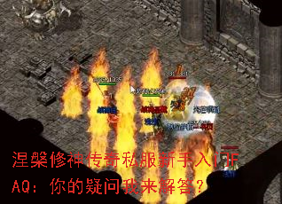 ����������˽����������FAQ����������������