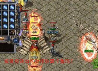 ����˫���������ưԿ�³�ꣿ