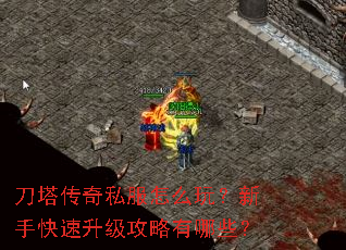 ��������˽����ô�棿���ֿ���������������Щ��