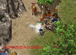 如何快速提升护盾等级? 如何快速提升护盾等级?