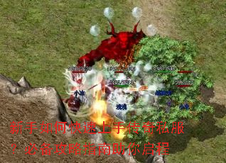 ������ο������ִ���˽�����ر�����ָ����������