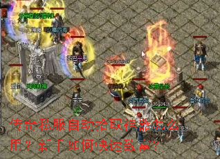 ����˽���Զ�ʰȡ������ô�ã�������ο����¸���