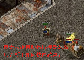 ����˽���Զ�ʰȡ������ô�ã�������ο����¸���