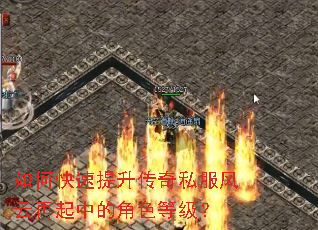 ��ο�����������˽�����������еĽ�ɫ�ȼ���