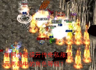 ��ο�����������˽�����������еĽ�ɫ�ȼ���