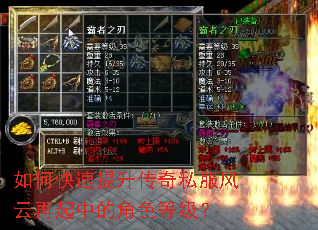 ��ο�����������˽�����������еĽ�ɫ�ȼ���