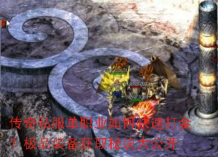 ����˽����ְҵ��ο��ٴ�𣿼�Ʒװ����ȡ�ؾ��󹫿�