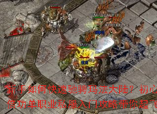 ������ο��ٳ۳��귨��½�����ı�����ְҵ˽�����Ź��Դ������