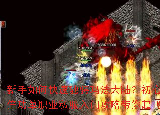 ������ο��ٳ۳��귨��½�����ı�����ְҵ˽�����Ź��Դ������