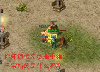 ��֪������˽������������ָ����ʲô��