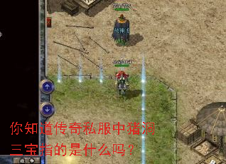 ��֪������˽������������ָ����ʲô��