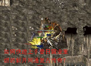 ��ο����������հ�ҵ��ȼ���¿���ͨ���Ŵ��棿