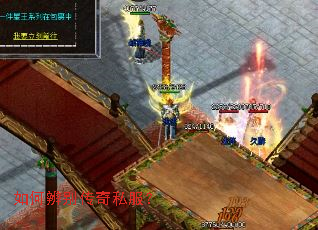 ��α����˽����