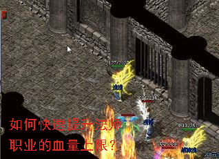 ��ο���������ʦְҵ��Ѫ�����ޣ�